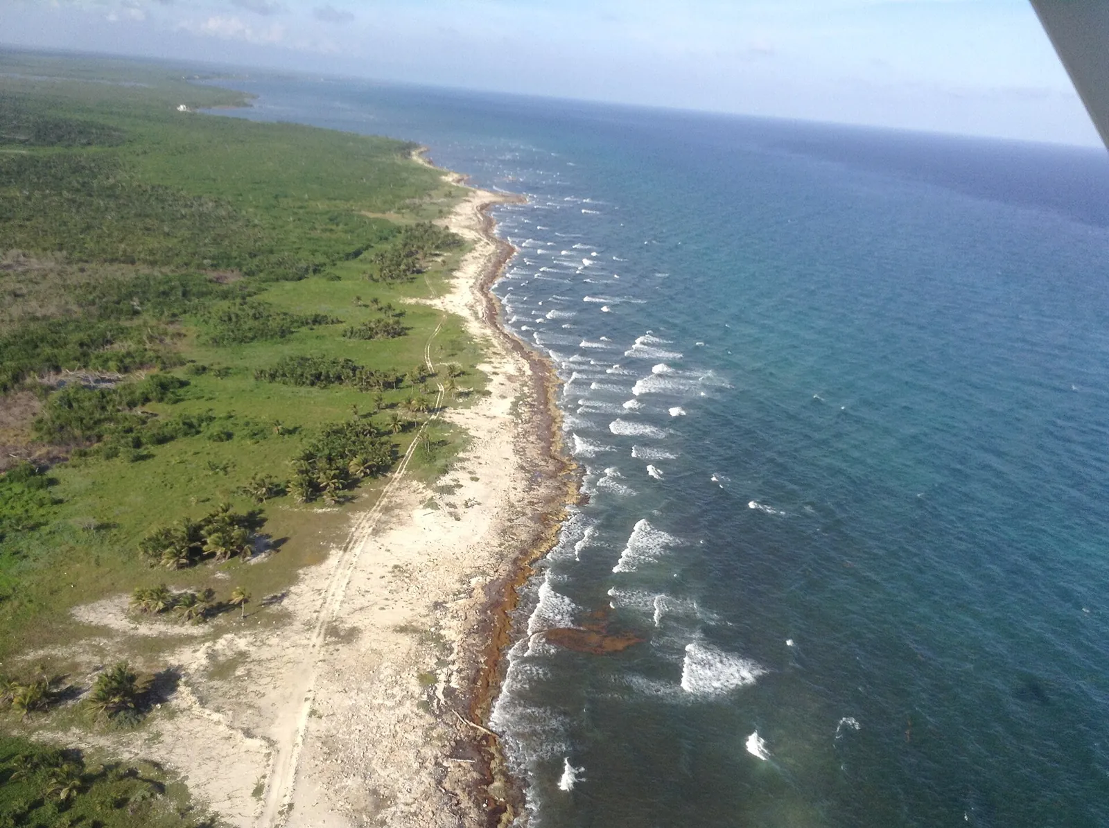Vista aérea de la costa de Mahahual, con la playa, el arrecife y la selva